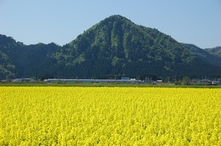 20110518_1.jpg
